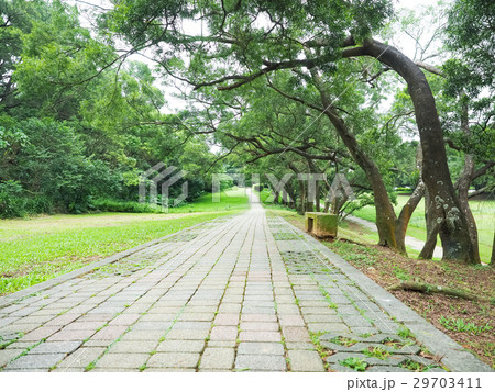 公園 パーク 園 29703411