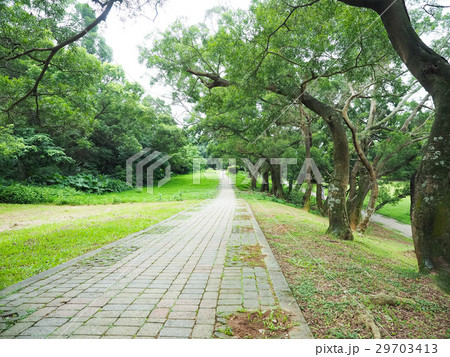 公園 パーク 園 29703413