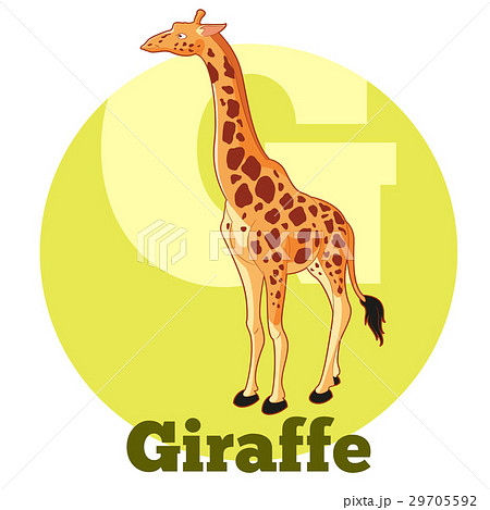 ABC Cartoon Giraffe 29705592