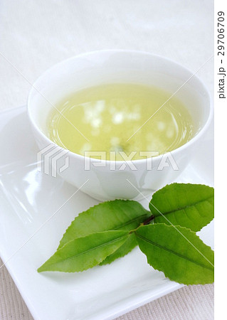 新茶 新茶 29706709