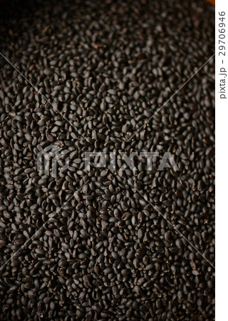 バジルシード バジルシード 29706946