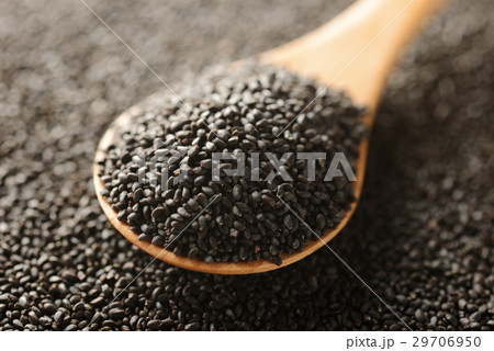 バジルシード バジルシード 29706950