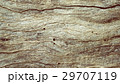 wood texture. Abstract background 29707119