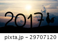 Silhouettes rooster crows in 2017 29707120