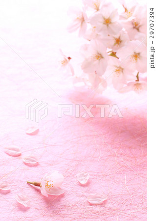 桜・後ろボケP縦 桜・後ろボケP縦 29707394