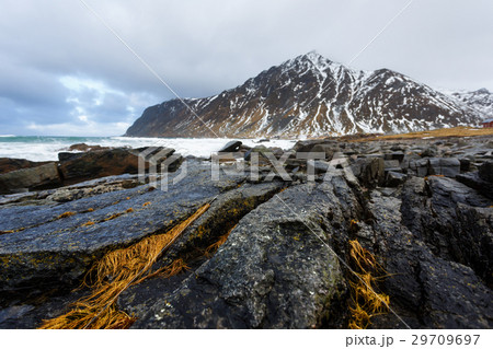 Vareid, Lofoten Islands 29709697
