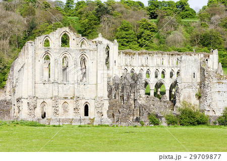 ruins of Rievaulx Abbey, North Yorkshire, England 29709877