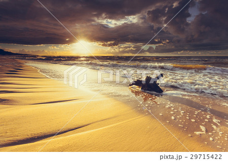 Golden sunset and tree root on beach 29715422