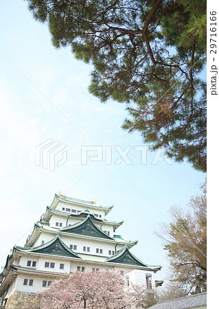 名古屋城 29716166