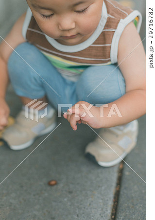 2 years old 29716782