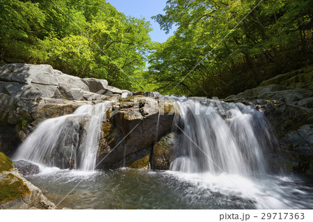 新緑の夏井川渓谷 29717363