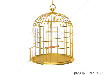 Golden bird cage with open door, 3D rendering 29719627