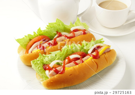 ホットドッグ 29725163