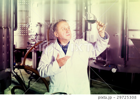 Positive wine maker controls quality of wine Positive wine maker controls quality of wine 29725308