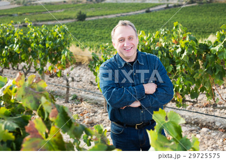 Man gathers grapes Man gathers grapes 29725575