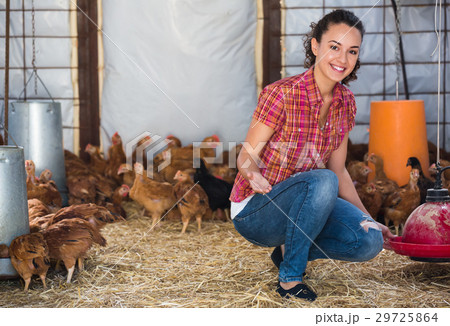 Woman farmer feeding chickens inside of coop Woman farmer feeding chickens inside of coop 29725864