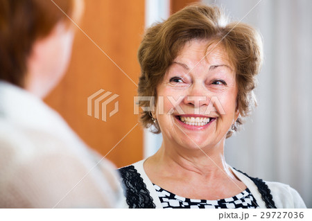 Senior friends having nice conversation 29727036