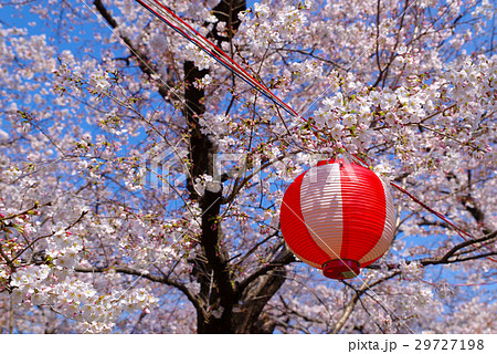 小江戸川越春まつり　提灯と桜咲く新河岸川　2017年 29727198
