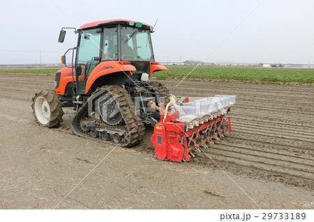 水稲の乾田直播 29733189