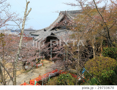 紀三井寺 29733670