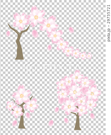 桜の木 3種類セットのイラスト素材