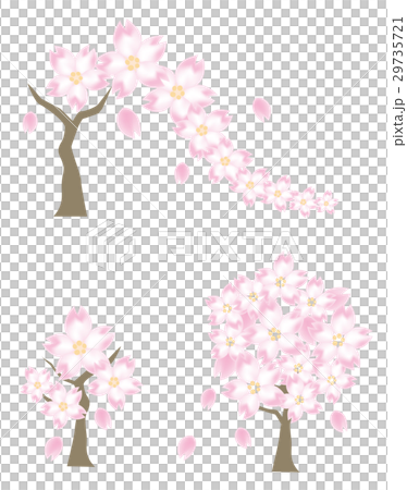 桜の木 3種類セットのイラスト素材