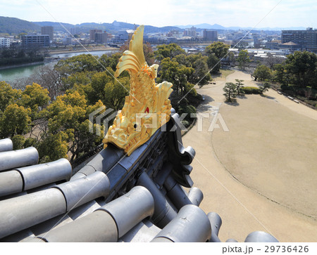 岡山城天守閣の金のシャチホコと旭川、烏城公園、岡山県庁 29736426