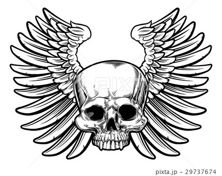 Skull with Wings Skull with Wings 29737674