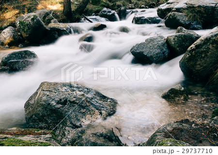 River of mountain crossing a forest. River of mountain crossing a forest. 29737710