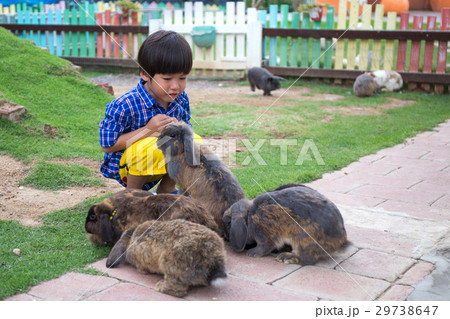 4 years asian kid play with group of brown rabbits 29738647