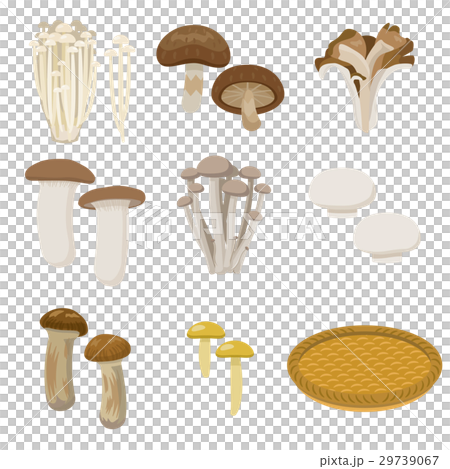 キノコのセット【食材・シリーズ】 キノコのセット【食材・シリーズ】 29739067