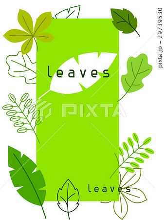 Natural card with stylized green leaves. Spring or Natural card with stylized green leaves. Spring or 29739530