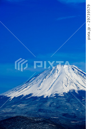 精進湖パノラマ台から望む富士山 29739579