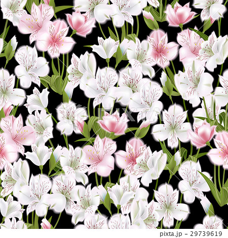 Beautiful alstroemeria on seamless background 29739619
