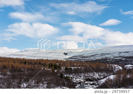 winter landscaped, with forest and mountain  29739957
