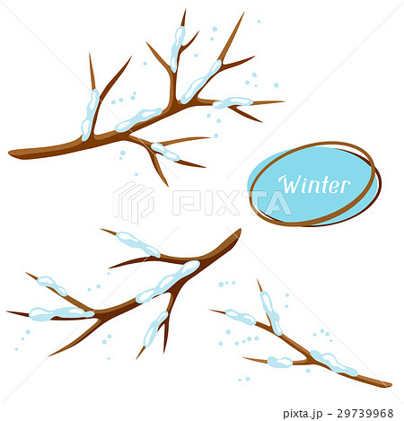 Winter set with branches of tree and snow 29739968