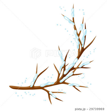 Winter branch of tree and snow. Seasonal 29739969
