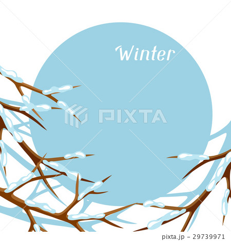 Winter card with branches of tree and snow 29739971