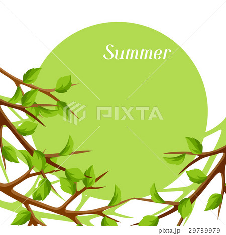 Summer card with branches of tree and green leaves Summer card with branches of tree and green leaves 29739979