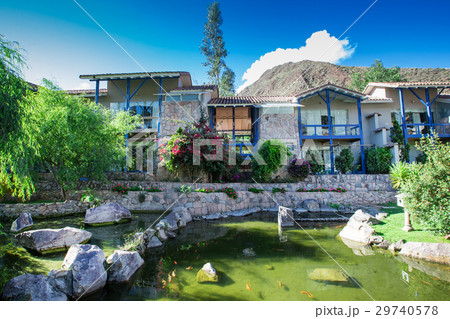 Garden 29740578