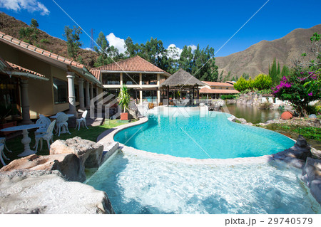 pool in the garden 29740579