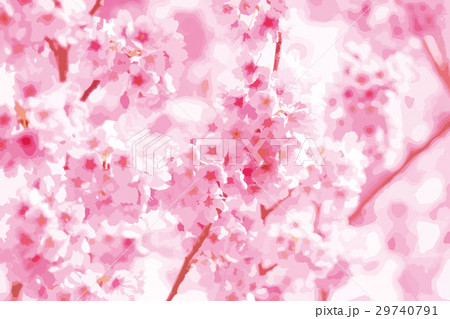 桜の花 29740791