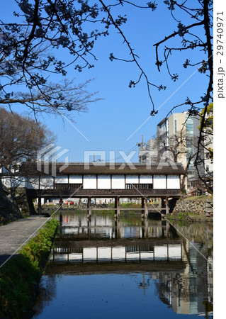 春の府内城址 大分城址 春の府内城址 大分城址 29740971