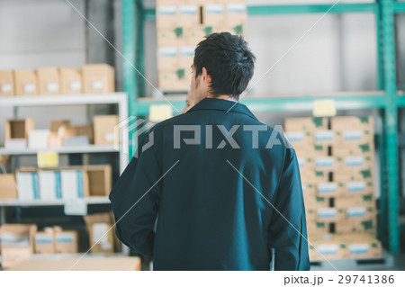 job 29741386