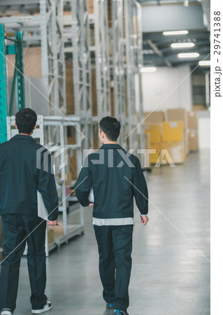 job job 29741388