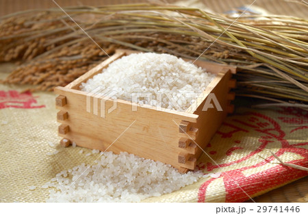 米とイネ 米とイネ 29741446