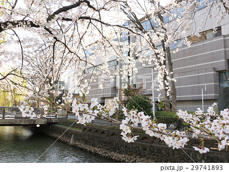 広瀬川と前橋文学館 広瀬川と前橋文学館 29741893