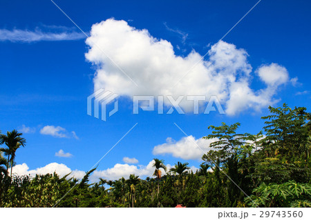 空 エーテル 大空 29743560