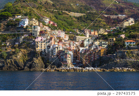 Riomaggiore 29743575