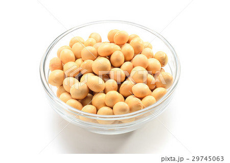 大豆 大豆 29745063